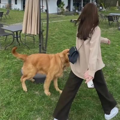 红楼梦